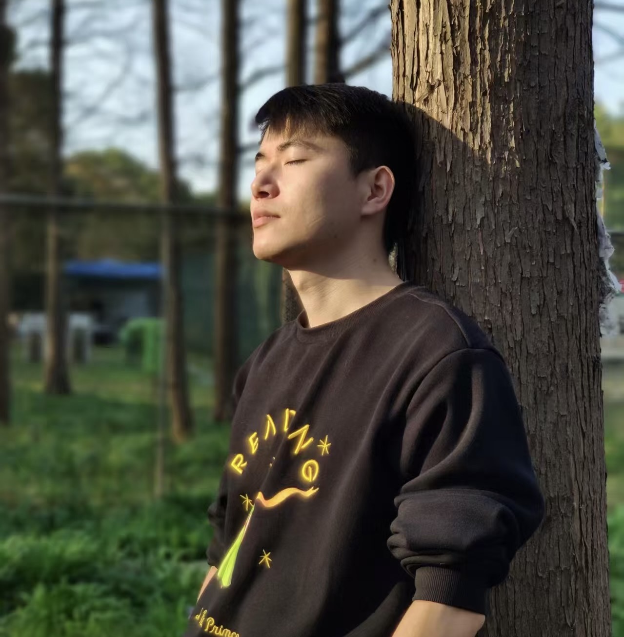 这是我